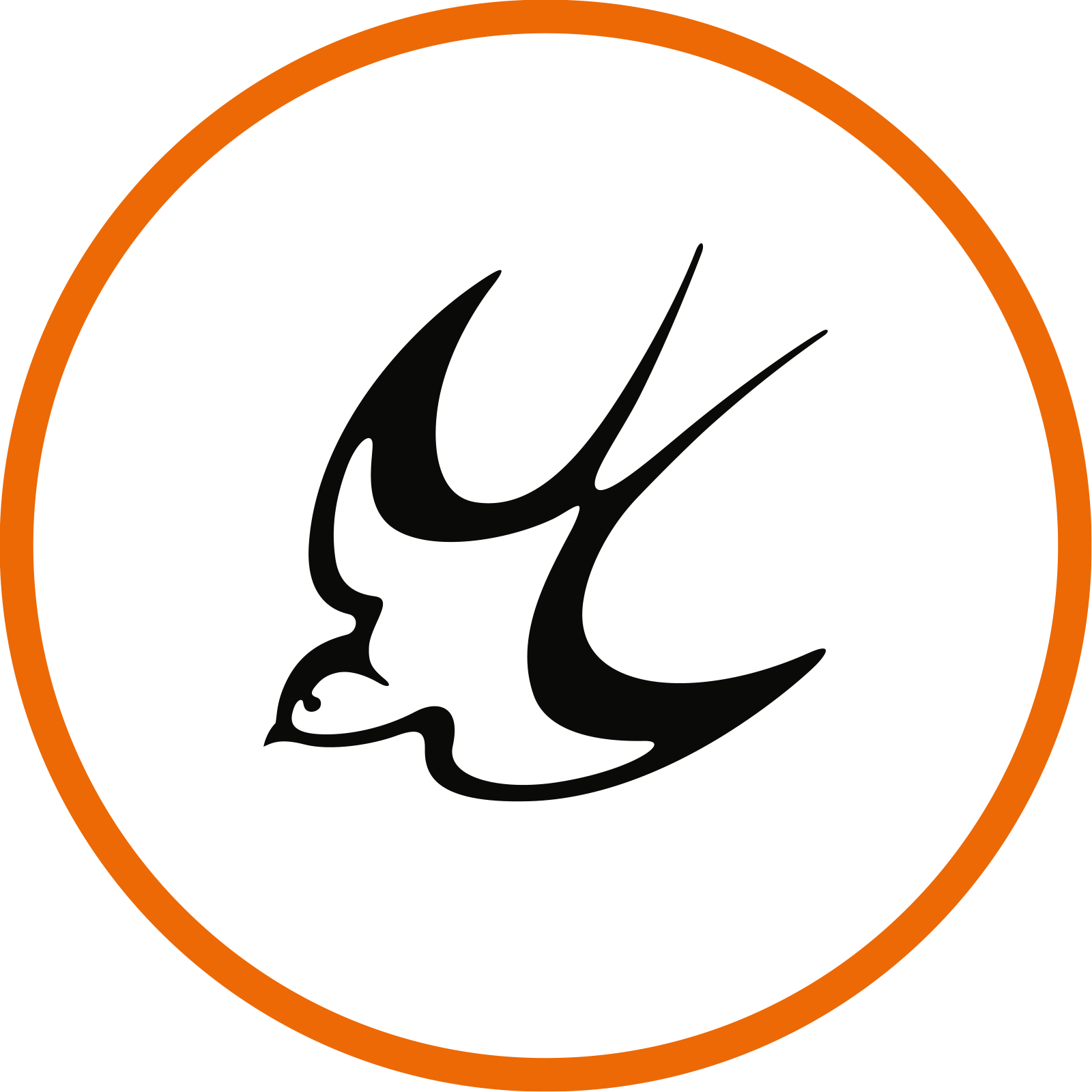 Swallow Media Services